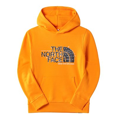 sweatshirt à capuche garçon ns drew peak p/o