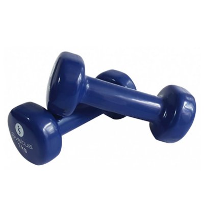 haltères epox bleu