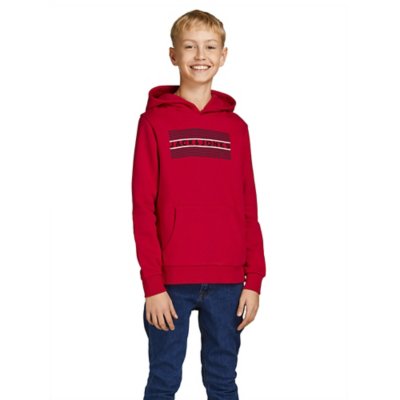 sweatshirt à capuche garçon jjecorp logo