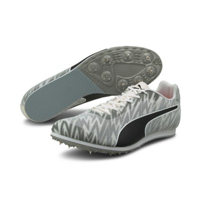 chaussures d'athlétisme homme evospeed star 7