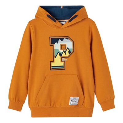 sweatshirt à capuche garçon nkmtorry swe w bru