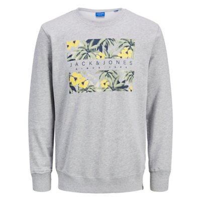 sweatshirt homme jorvenice branding