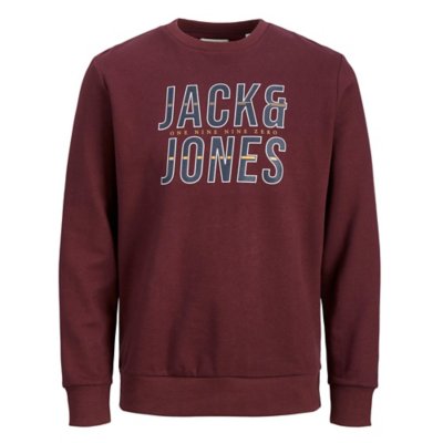sweatshirt homme jjxilo crew neck