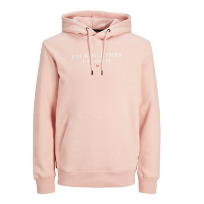 sweatshirt à capuche homme jprbluarchie noos