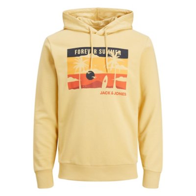 sweatshirt à capuche homme jjsummer cool