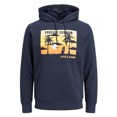 sweatshirt à capuche homme jjsummer cool