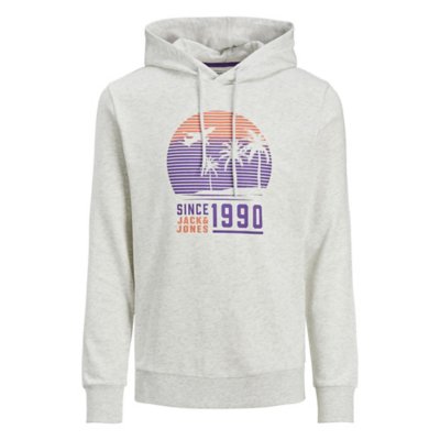 sweatshirt à capuche homme jjsummer cool