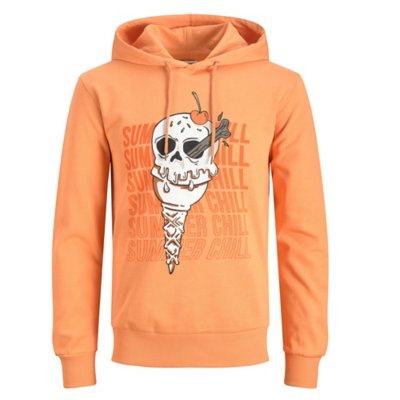 sweatshirt à capuche homme jjtidal