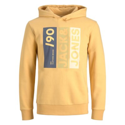 sweatshirt à capuche garçon jjjio
