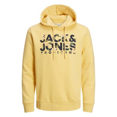 sweatshirt à capuche homme jjbecs shape