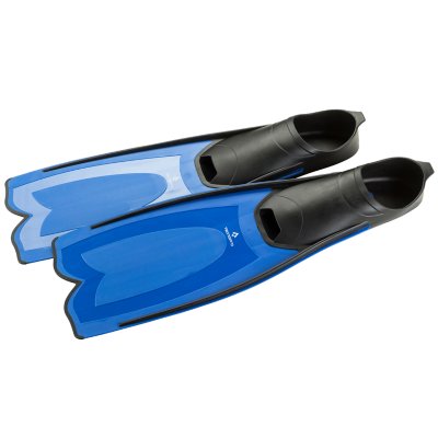 palmes adulte palme f3