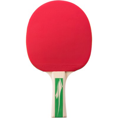 raquette de tennis de table pro 3000