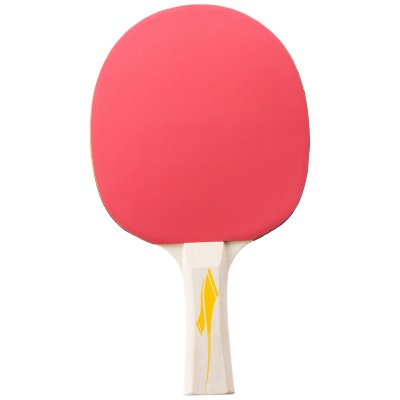 raquette de tennis de table pro 2000