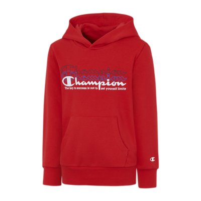sweatshirt à capuche garçon ed