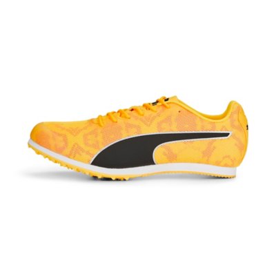 chaussures d'athlétisme homme evospeed star 8