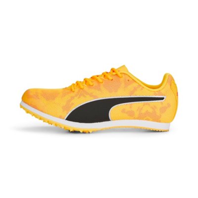 chaussures d'athlétisme evospeed star 8