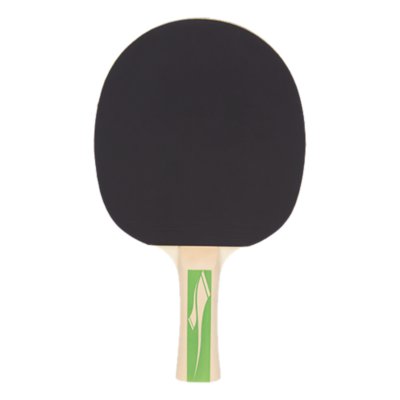 raquette de tennis de table pro 3000
