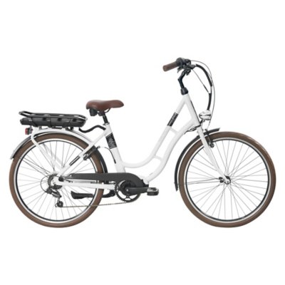 Batterie pour vélo électrique E-scape Sporty 36V 10,4Ah