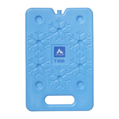 accumulateur de froid accumulateur froid 600g