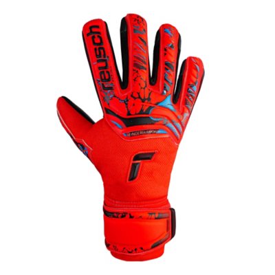 gants de gardien de football adulte attrakt evolution