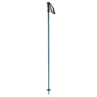 bâtons de ski homme poles arctic