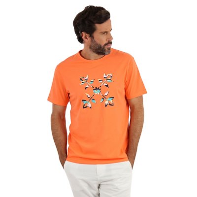 tee-shirt à manches courtes homme p1tezar