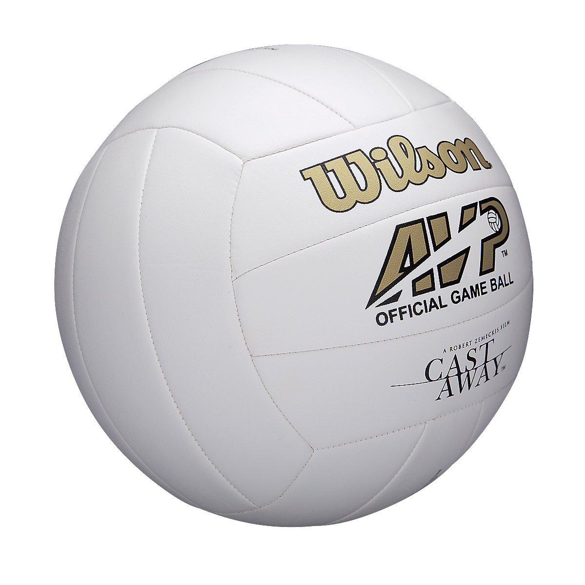 ballon de beach volley mr wilson castaway volleyball