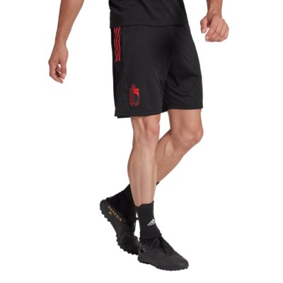 short de football homme belgique 2022