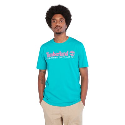 tee-shirt à manches courtes homme wwes ss front graphic tee (regular)