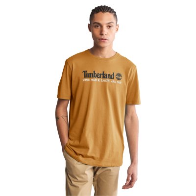 tee-shirt à manches courtes homme yc ss established 1973 (regular