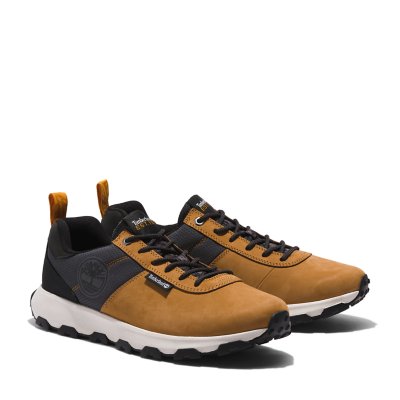 sneakers homme winsor trail