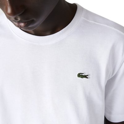 Tee shirt Manches Courtes Homme TEE LACOSTE INTERSPORT